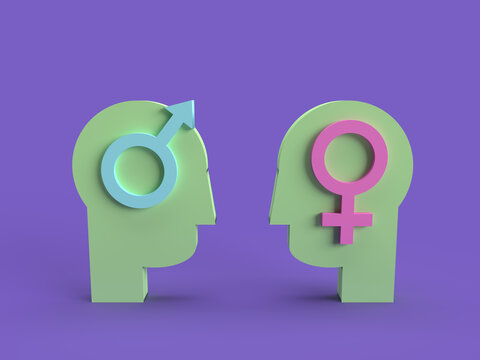 gender identity - 3d illustration - same head different ID