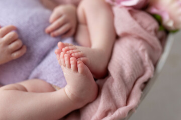 Obraz na płótnie Canvas small feet of a newborn baby on a white background