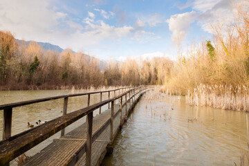 Old wood footbridge on lagoon, rural landscape