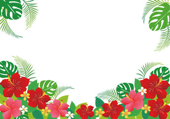 トロピカル背景　ハイビスカス