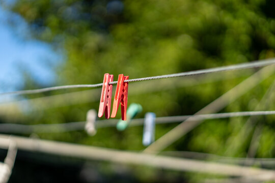 clothes pegs on a clothesline, Traditional hills hoist washing line in an Australian backyard