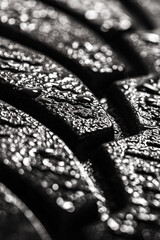 Abstract wet car winter tire. Rubber tyre cover patern with water drops..