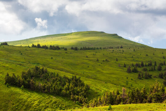 green mountain landscape in summer. grassy hill in morning dappled light. beautiful nature scenery of carpathians