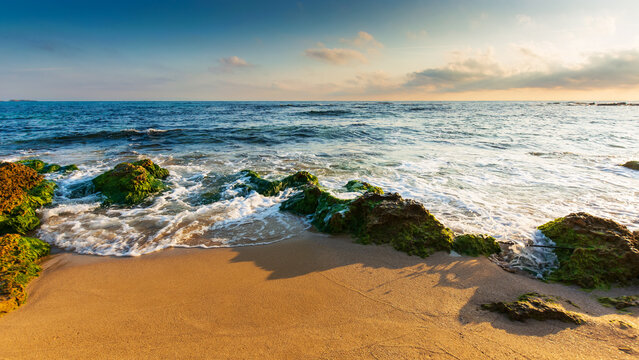 calm morning scenery at the beach. wonderful summer vacation background. calm waves washes the shore. blue sky with some clouds glowing in morning light. steps on the sand. seaweed on the stone
