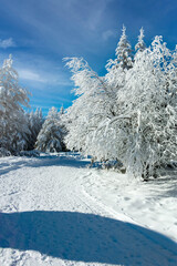 Winter landscape of Vitosha Mountain, Bulgaria