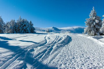 Fototapeta premium Winter landscape of Vitosha Mountain, Bulgaria