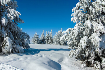 Winter landscape of Vitosha Mountain, Bulgaria