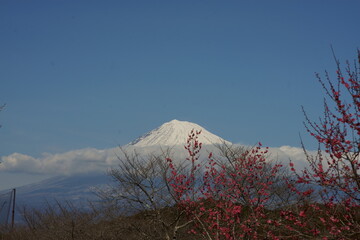 A warm sunshine announces the coming of spring