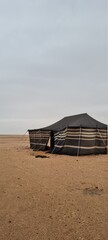 Bedouin tent in Saudi Arabia
