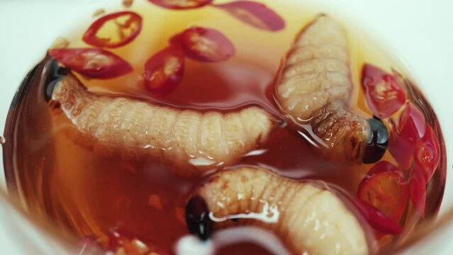 Coconut Tree's Worms with fish sauce and chili