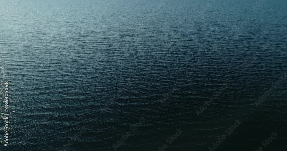 Poster smooth aerial perspective of ocean ripples while bird from left to right.