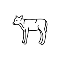 Calf animal color line icon. Pictogram for web page