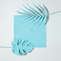 Monochromatic monstera and palm leaves. Minimal tropical layout with copy space. Exotic nature idea. Creative pastel light blue concept.