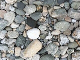 Newport stones
