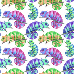 Colorful chameleon seamless pattern on white