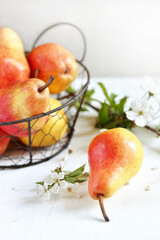pear yellow with red side, pear variety trout, beautiful juicy pears organic, beautiful fresh fruits, copy space, space for text