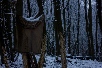 Old t-shirt in the woods with snow
