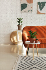 Stylish orange sofa with houseplants in modern interior of living room
