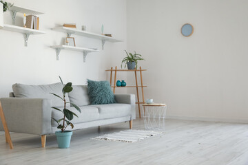 Stylish grey sofa with houseplants in modern interior of living room