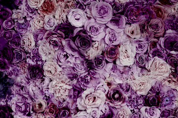 Purple background with roses, easy to use for event backgrounds.
