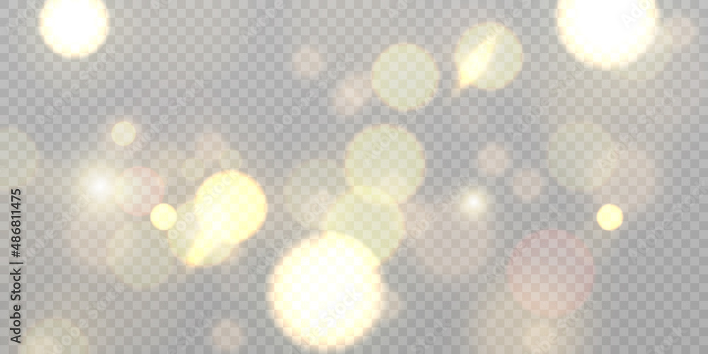 Poster light effect with lots of glittery glare particles shining on a transparent background.