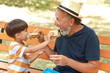 Little boy and his grandfather eating sandwiches on bench in park