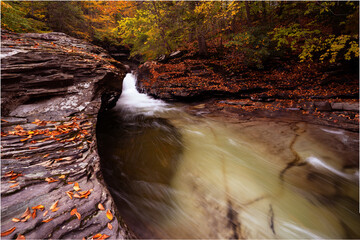 waterfall in autumn forest