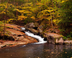 waterfall in autumn forest