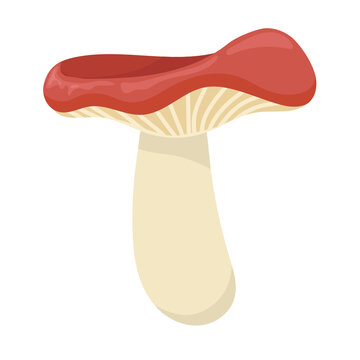 Russule flat icon