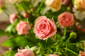 Closeup view of small beautiful roses