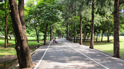 Children ride bicycles in a quiet park with shady roads and tall trees in the big city.