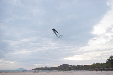 Scenic sea view. Beach activities, holidays, weekends on the seacoast, ocean view. Balloon in the form of a black octopus flies on the beach. 
