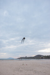 Scenic sea view. Beach activities, holidays, weekends on the seacoast, ocean view. Balloon in the form of a black octopus flies on the beach. 