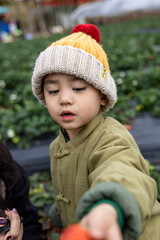 portrait of a little child in a cap