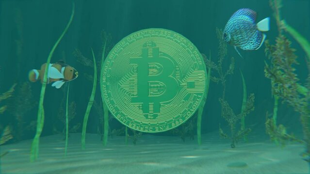 A 3D animation of Bitcoin spinning underwater.