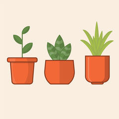 3 plants in pots, vector icon set illustration, flat design