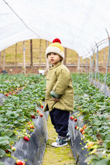 child in greenhouse