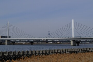 Fototapeta premium 日本 東京の風景