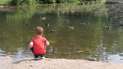 Red headed boy feeding ducks in a pond in UK