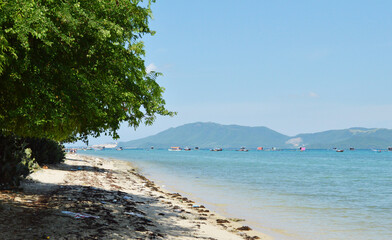 Trees on the shore of Diep Son Island, Nha Trang, Vietnam