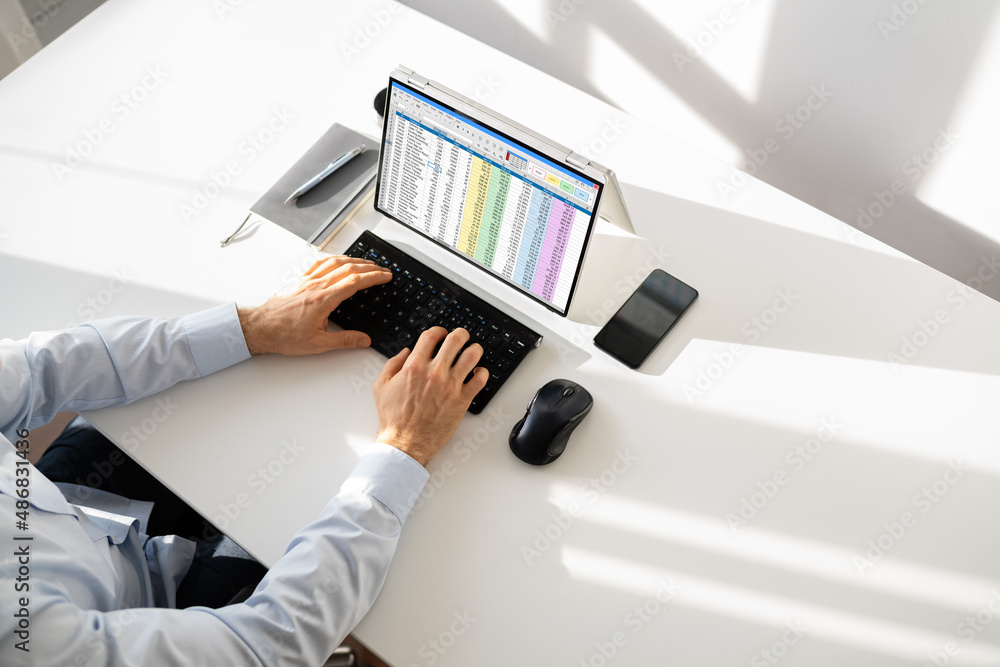 Poster Electronic Spreadsheet Analyst Or Auditor Using Software