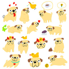 Collection of funny pugs. Best for stickers design. Vector illustrations on white background.