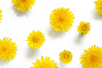 Dandelion background material.  タンポポの背景素材