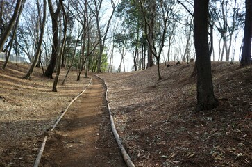 Obraz premium 登り坂道 冬の風景