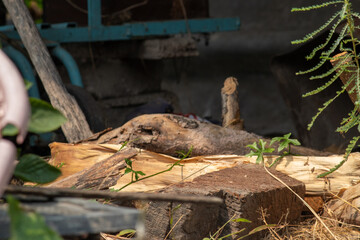 Soil is a naturally occurring material from physical decay. and the chemistry of rocks and minerals combined with organic matter	
