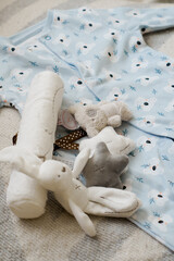 Fototapeta na wymiar newborn clothing and toys
