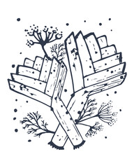 Leek with dill leaves. Hand drawn in vintage style. Flat vector illustration. EPS10