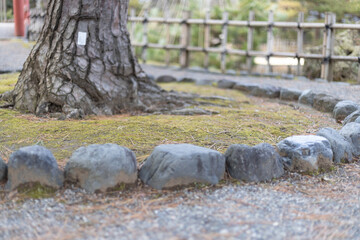 冬の芦城公園の風景
