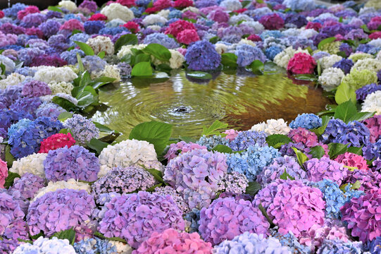 菅原道真 Images Browse 1 277 Stock Photos Vectors And Video Adobe Stock