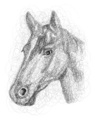 Scribble art Horse torso hand drawn illustration